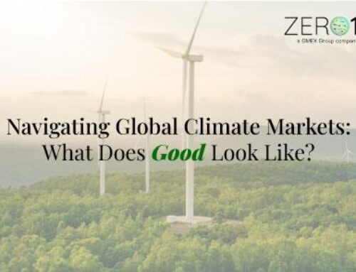 Article: Navigating Global Climate Markets: What Does Good Look Like?